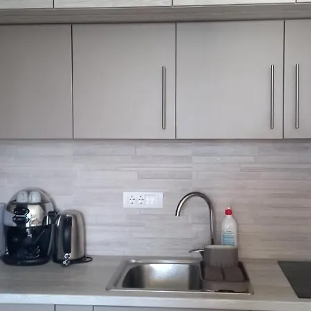 Apartment Cobanica Borovi *