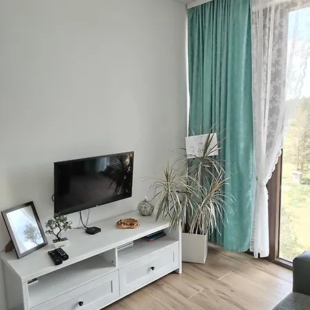Apartment Cobanica Borovi